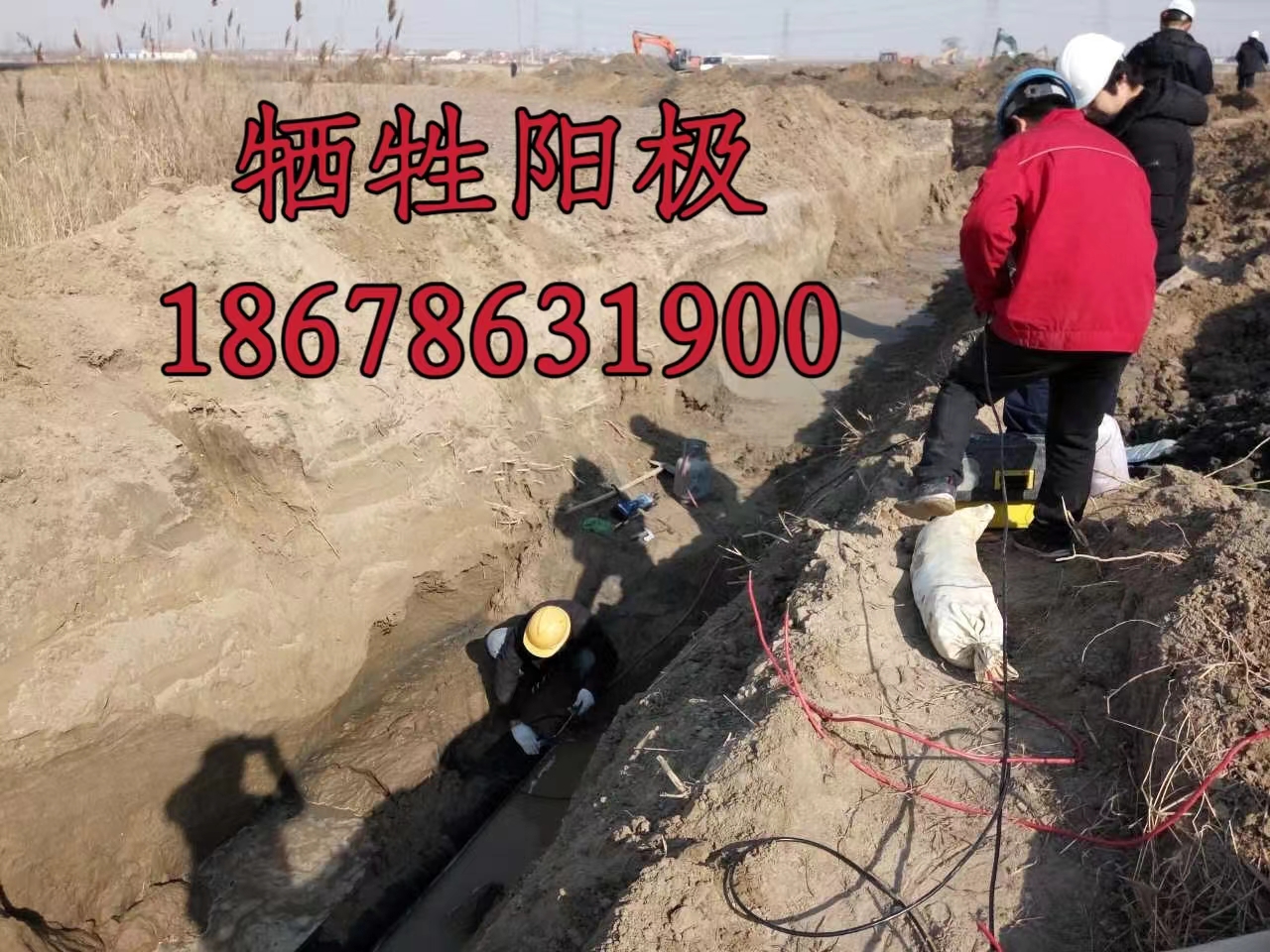 2024.04.02万海行业资讯2.jpg