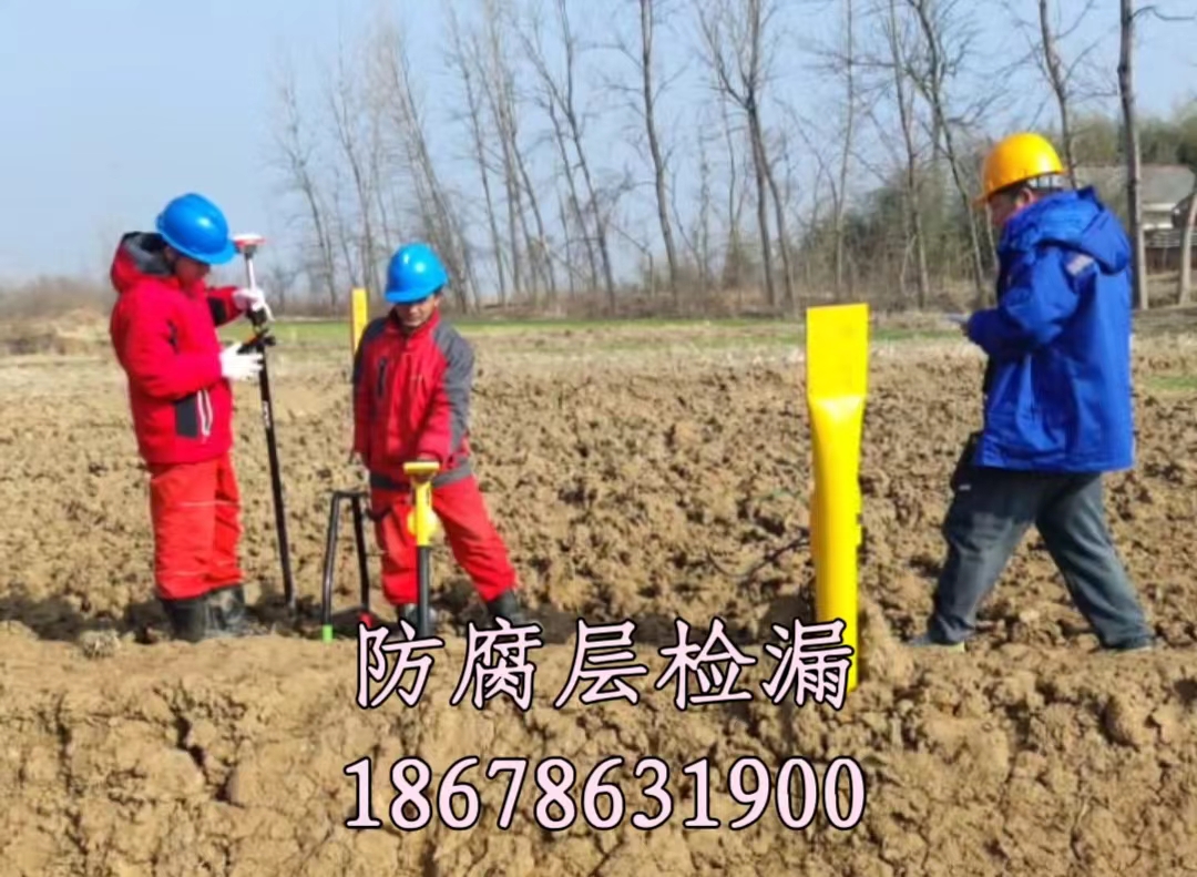 2024.04.15万海防护层检漏使用.jpg