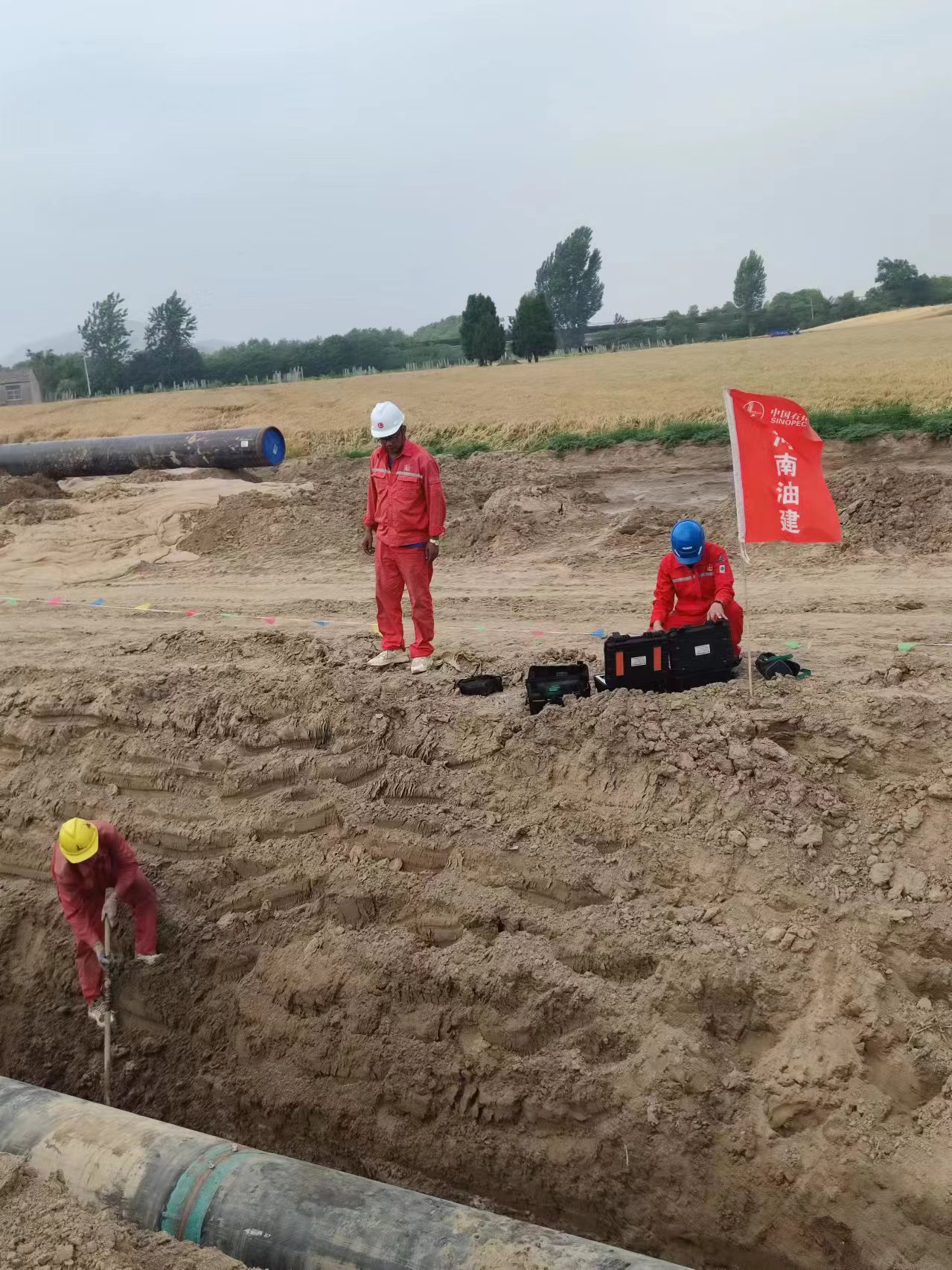 1722301940563428.jpg 2024.07.30电导率网站使用.jpg