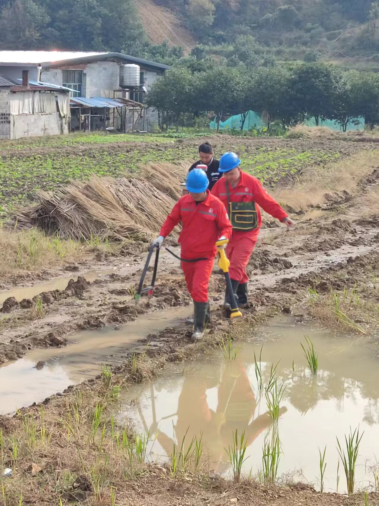 2024.08.22万海雷迪检测使用.jpg